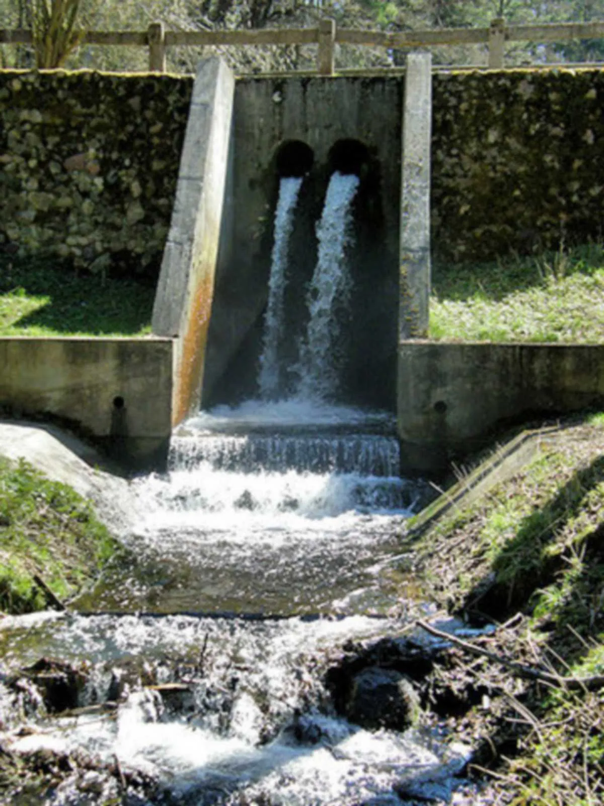 Rezerwat Przyrody Źródła Rzeki Łyny