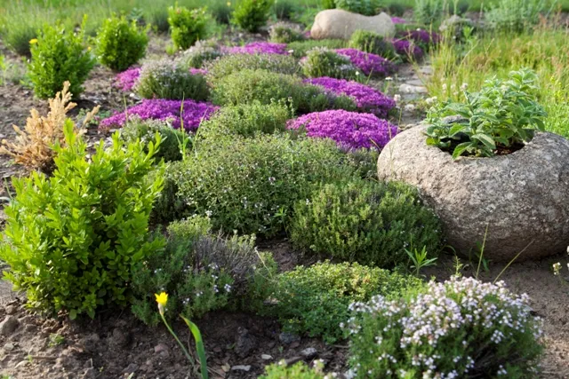 Garncarska Wioska w Kamionce