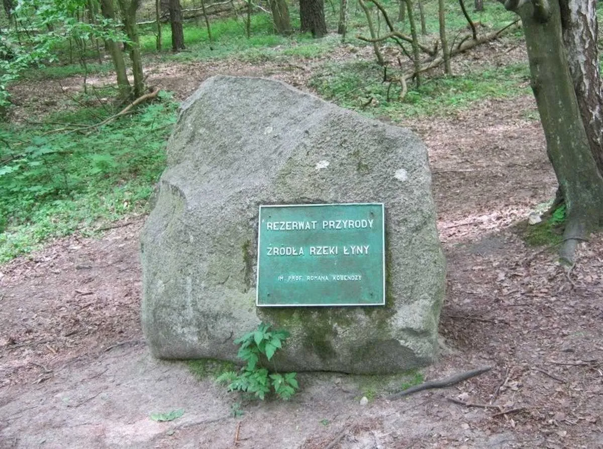 Rezerwat Przyrody Źródła Rzeki Łyny